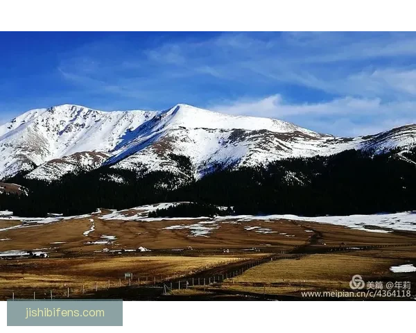 乌尼昂苏扎诺力克加巴库阿拉收获关键胜利